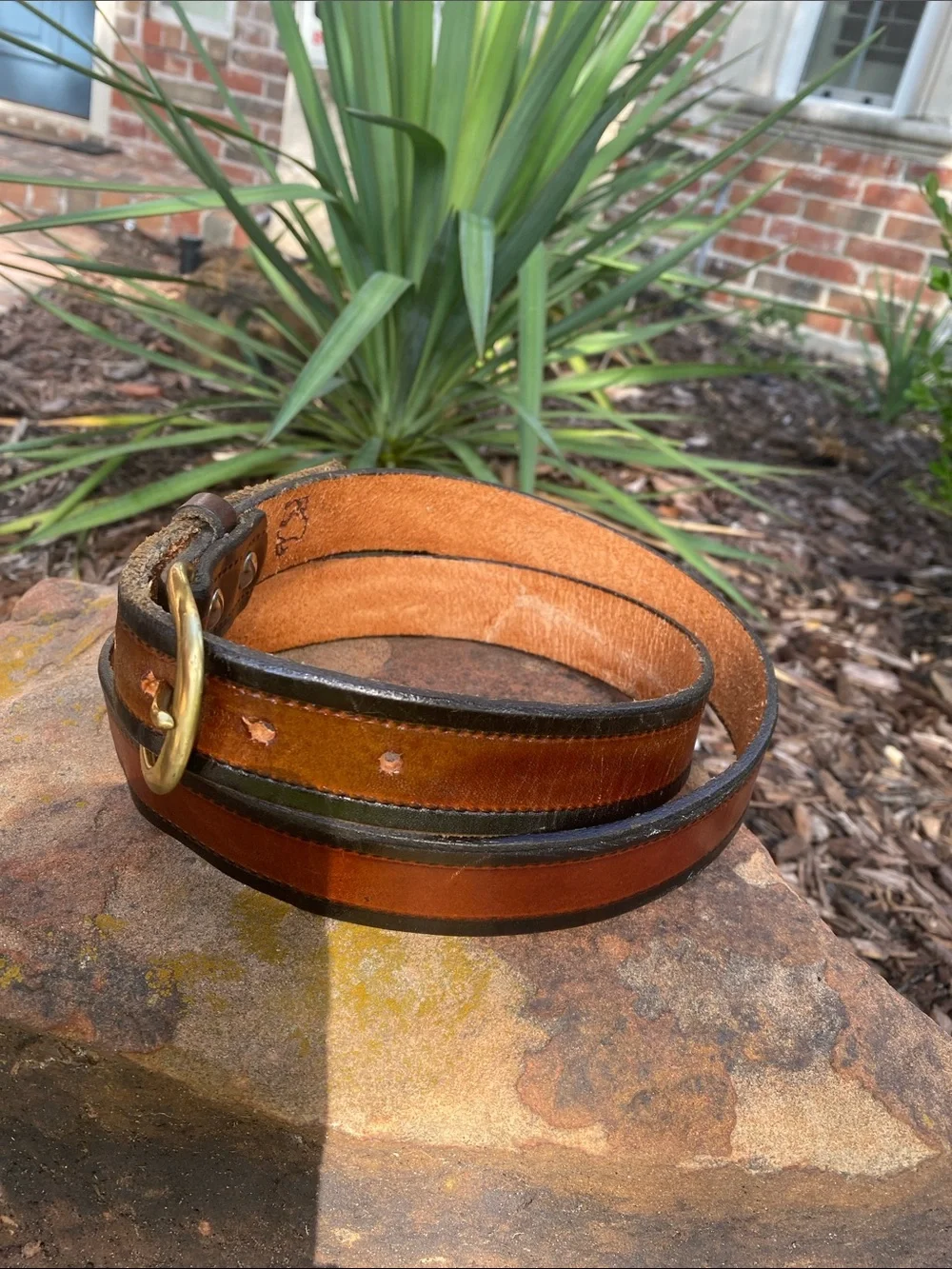 Two-Tone Brown Leather Belt with Black Edges & Brass Buckle